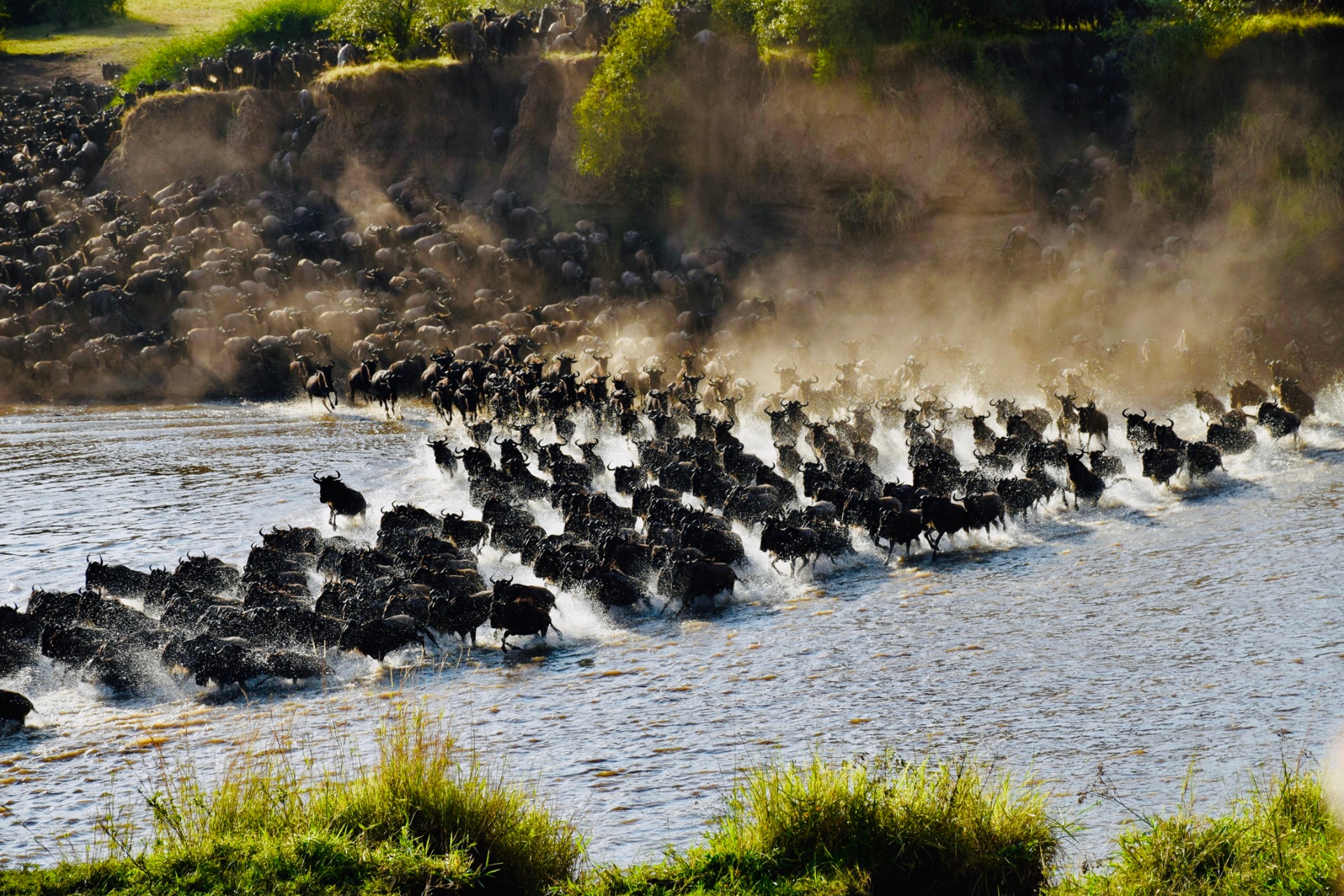 The Crossing