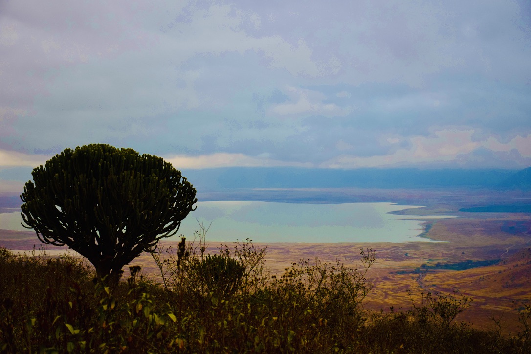 Ngorongoro